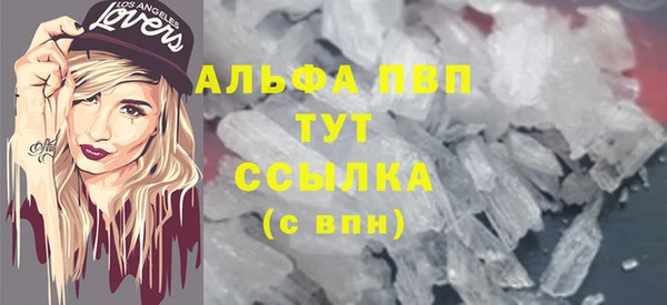 ГАЛЛЮЦИНОГЕННЫЕ ГРИБЫ Иннополис