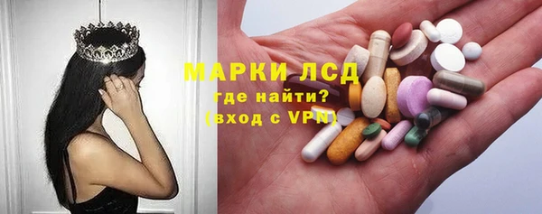 ПСИЛОЦИБИНОВЫЕ ГРИБЫ Каменка