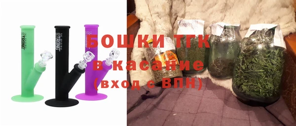 ПСИЛОЦИБИНОВЫЕ ГРИБЫ Каменка