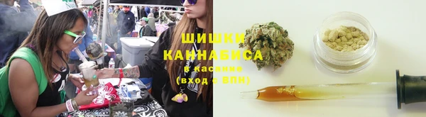 ГАЛЛЮЦИНОГЕННЫЕ ГРИБЫ Иннополис