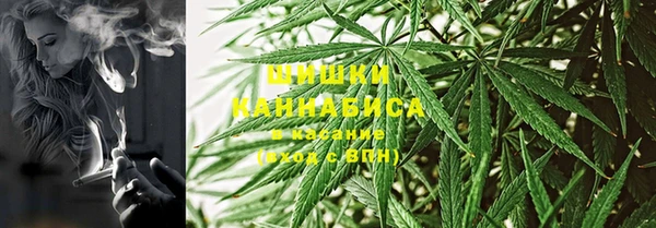 ГАЛЛЮЦИНОГЕННЫЕ ГРИБЫ Иннополис