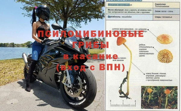 apvp Инта