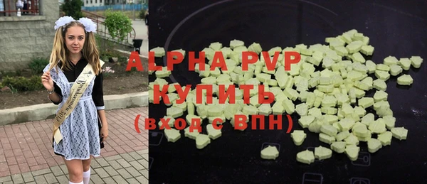 apvp Инта