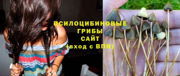 ПСИЛОЦИБИНОВЫЕ ГРИБЫ Каменка