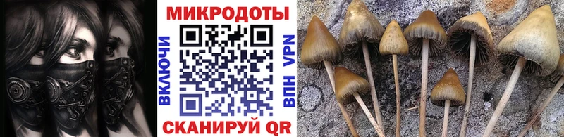Купить где  Моздок  Псилоцибиновые грибы Cubensis 